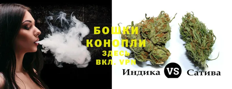 что такое наркотик  Бобров  Канабис THC 21% 